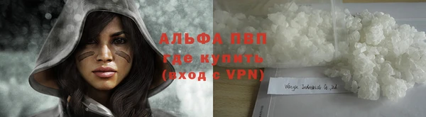 спиды Дмитров