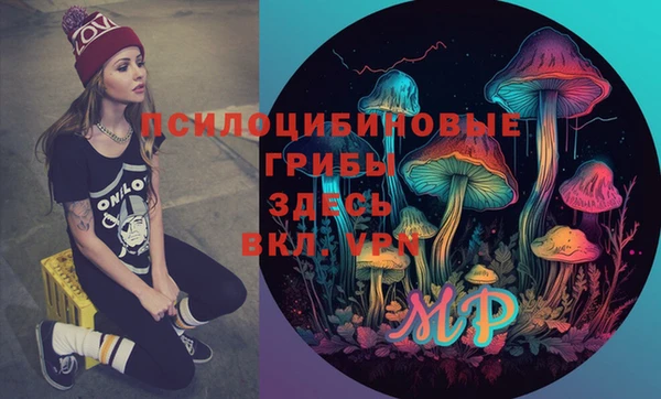 спиды Дмитров
