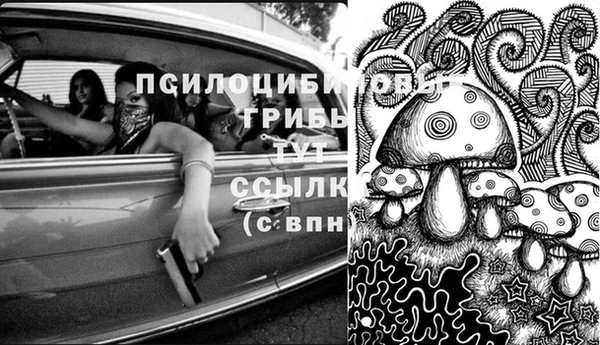 спиды Дмитров