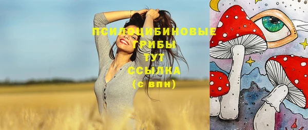 гидра Дмитровск