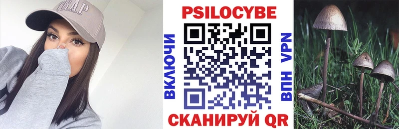 купить наркоту  Плавск  Галлюциногенные грибы ЛСД 